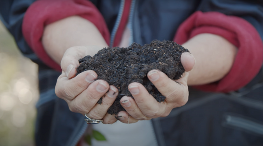 Handful of soil from Figtree Organic Farm