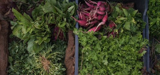 Baskets of fresh leafy green and purple produce