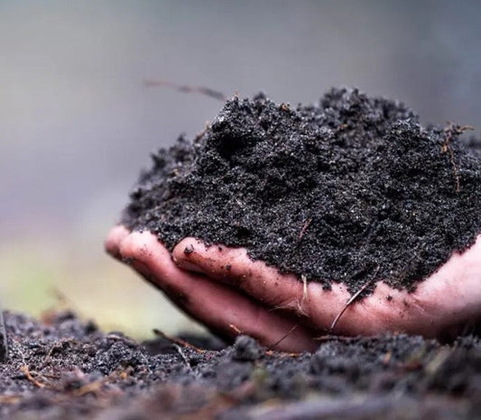 The Engine Behind Plant Nutrition & Our Food