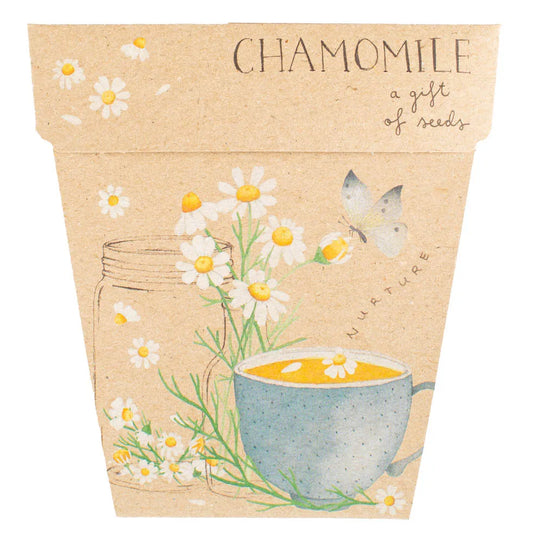 Chamomile Gift of Seeds