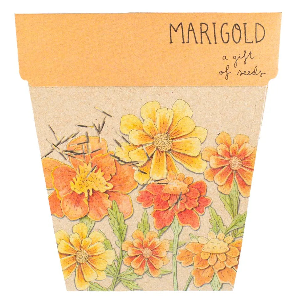Marigolds Gift of Seeds