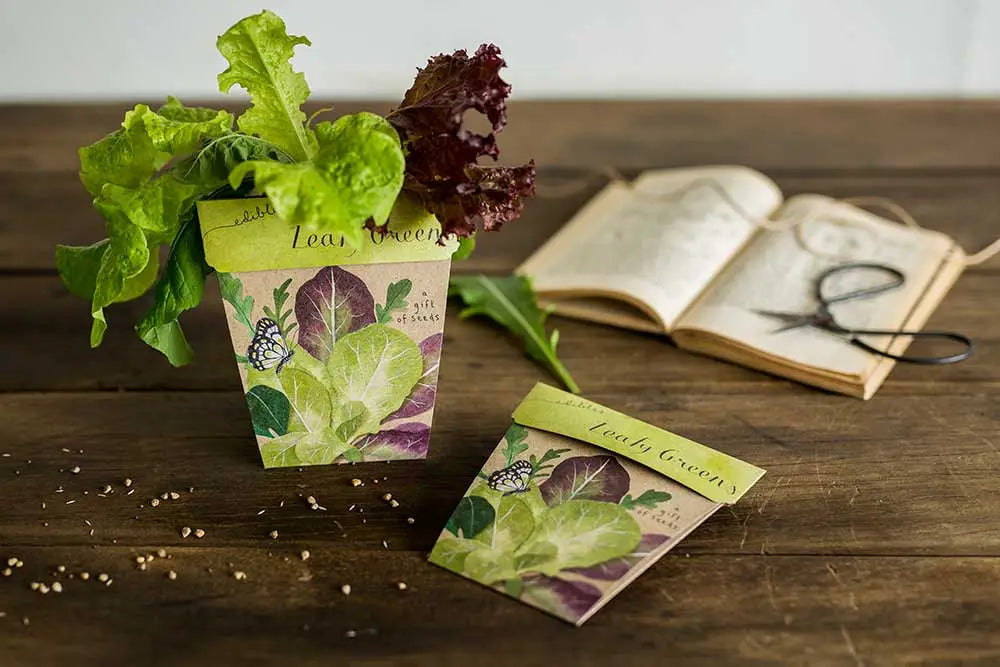 Leafy Greens Gift of Seeds