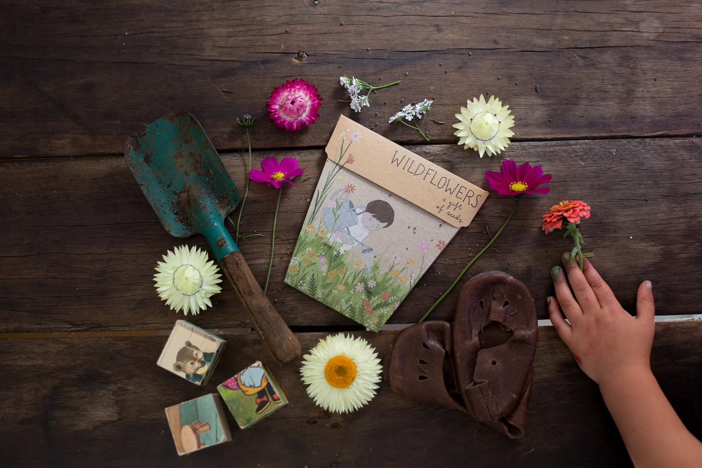 Wildflowers Gift of Seeds