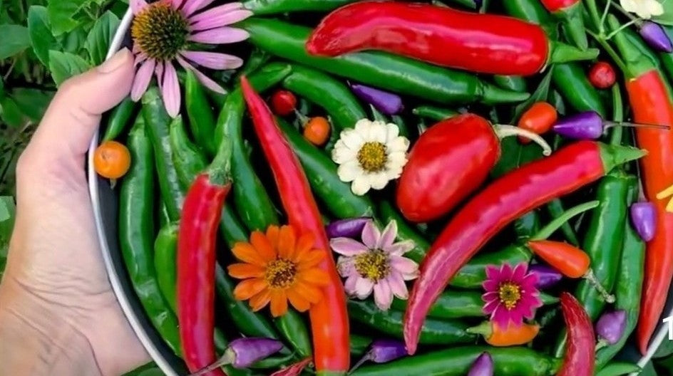 STOP IT... THEY ARE NOT THE SAME!