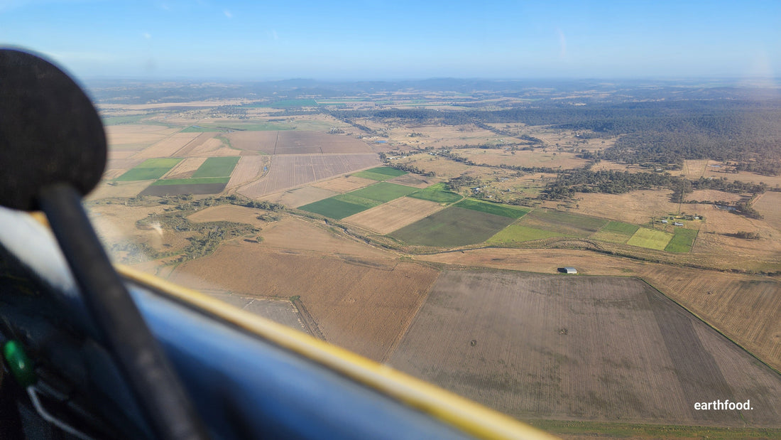 Commercial Growers: Heat and Drought Grace