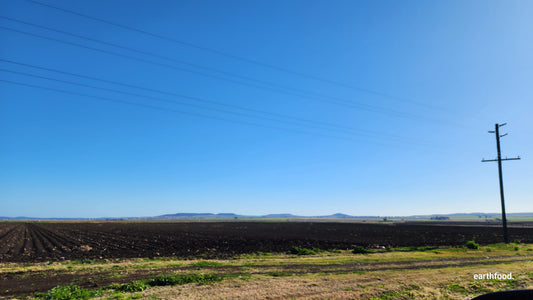 ATO RnD Grant Submission Structure