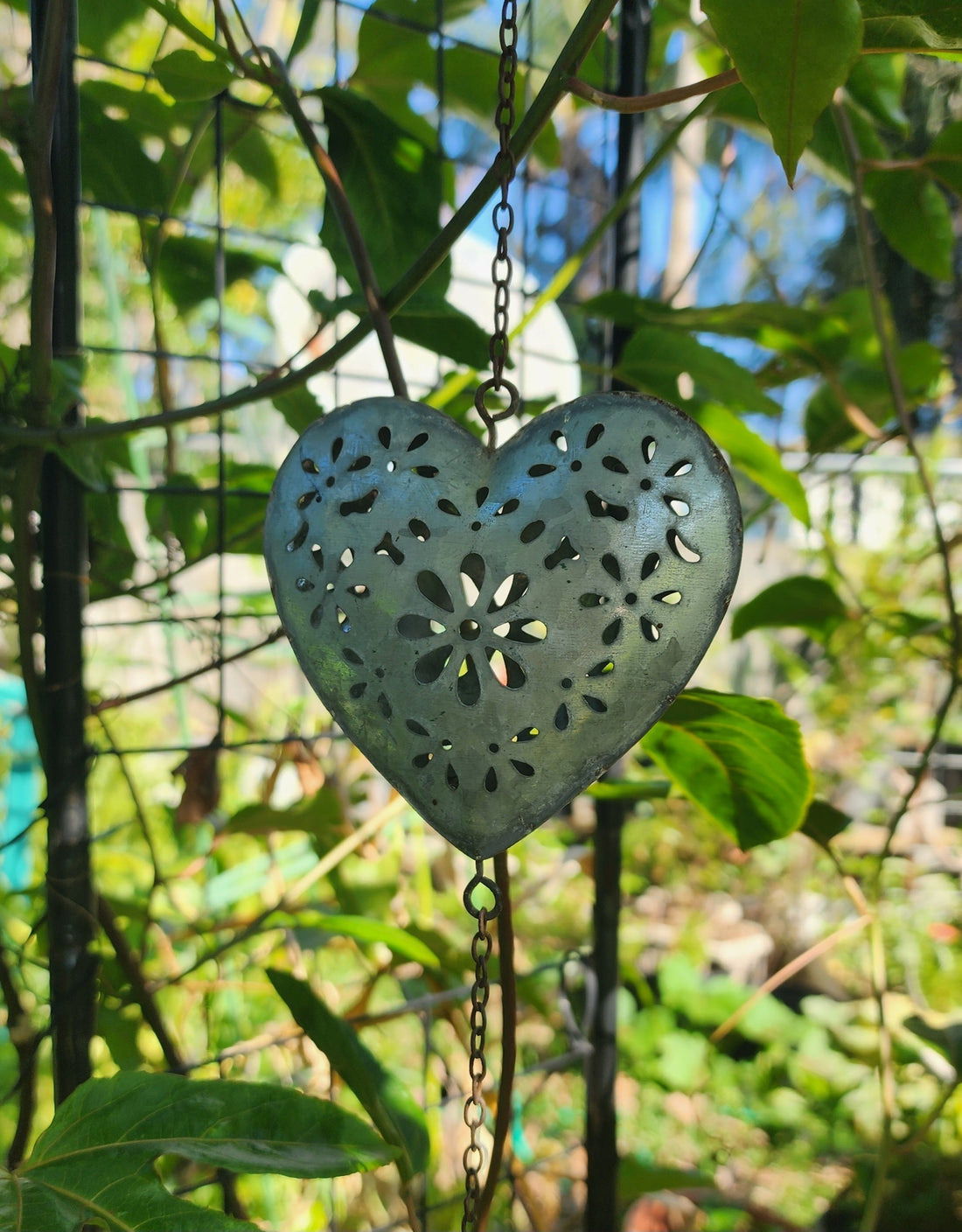 THE YEAR OF LIVING DANGEROUSLY