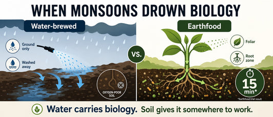 When Monsoons Drown Biology