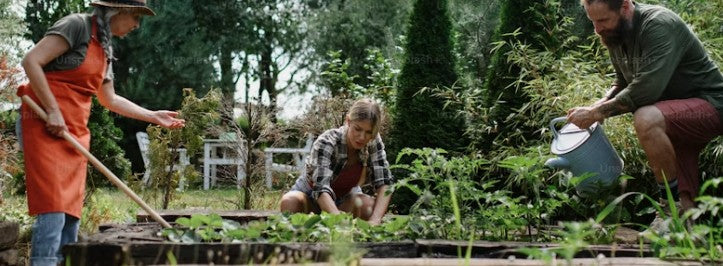 ATO Vs Gardening Clubs