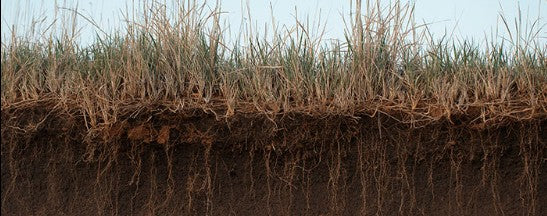 FARMING HELL IN WESTERN AUSTRALIA