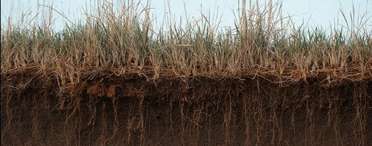FARMING HELL IN WESTERN AUSTRALIA