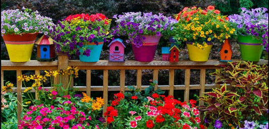 When Gardens Struggles.
