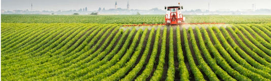 Fuel, Food and Soil. We Are Losing the Lot.