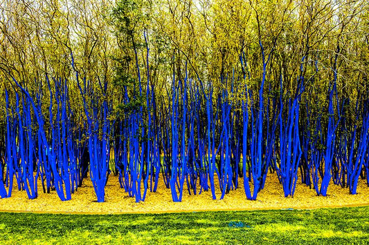 Blue Tree Warning
