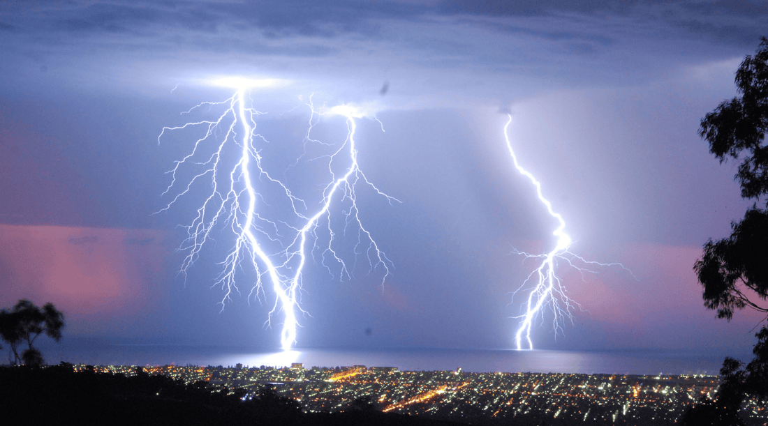 Caring for Your Garden in Wild Weather