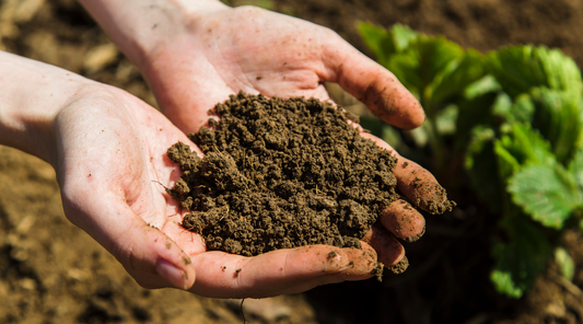 Waterborne Microbes vs Living Soil Microbes