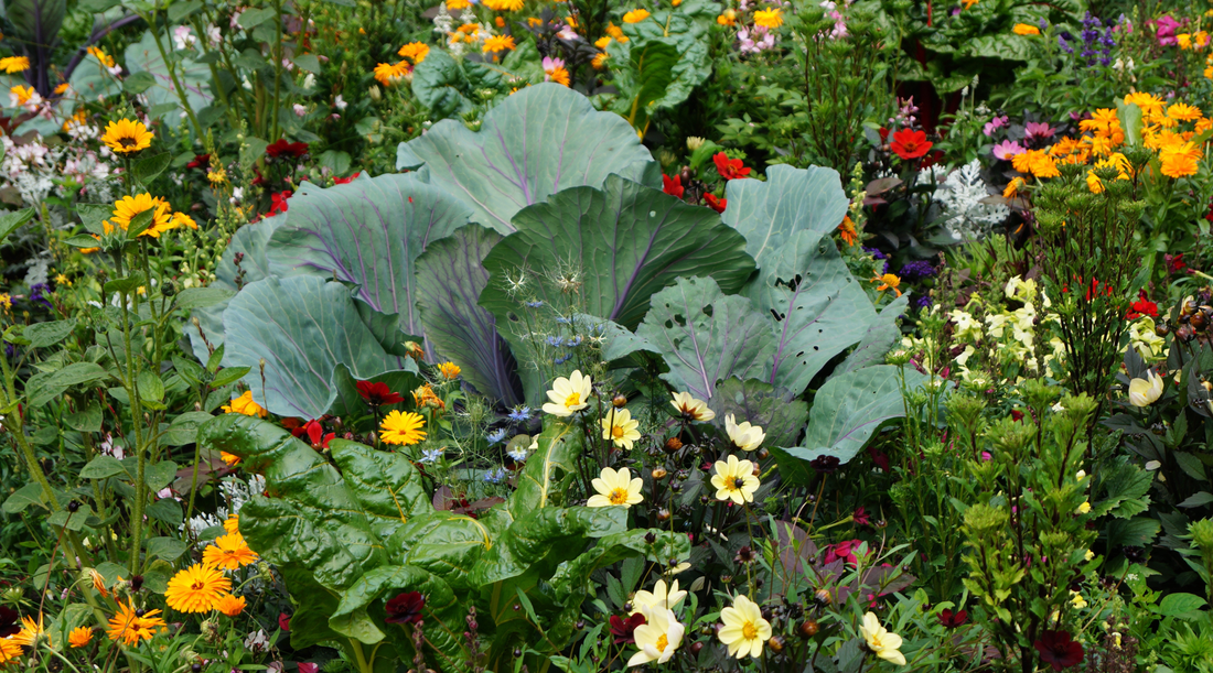 Soil Microbes or Marketing Words? What Growers Need to Know