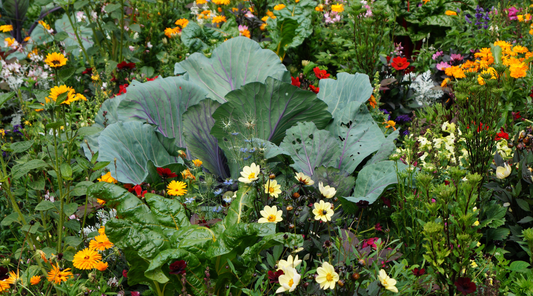 Soil Microbes or Marketing Words? What Growers Need to Know