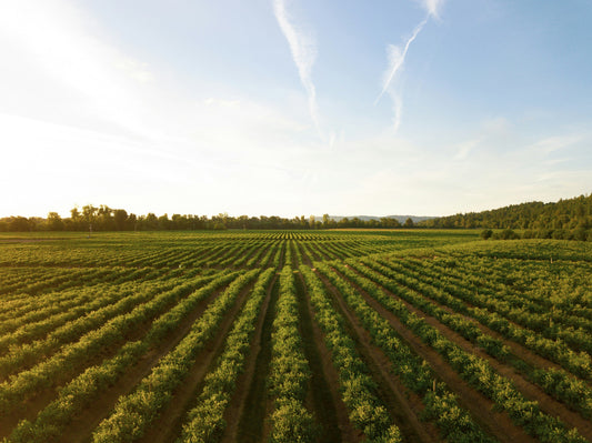 PART 3. Project Arcadia: When the Farm Becomes Data
