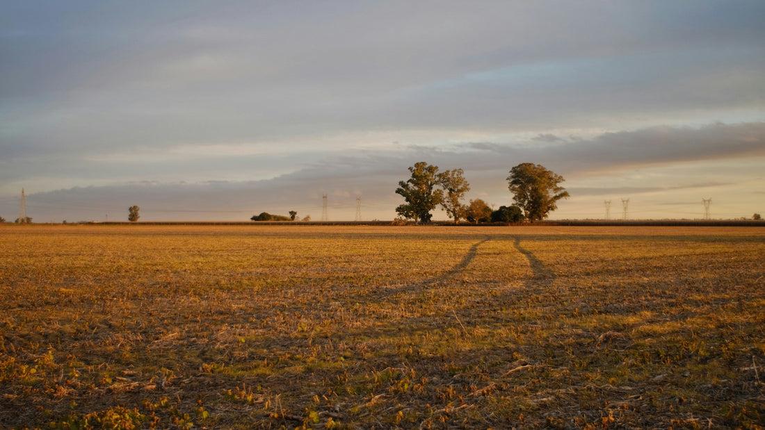 What Stronger Roots Mean in Hard Country