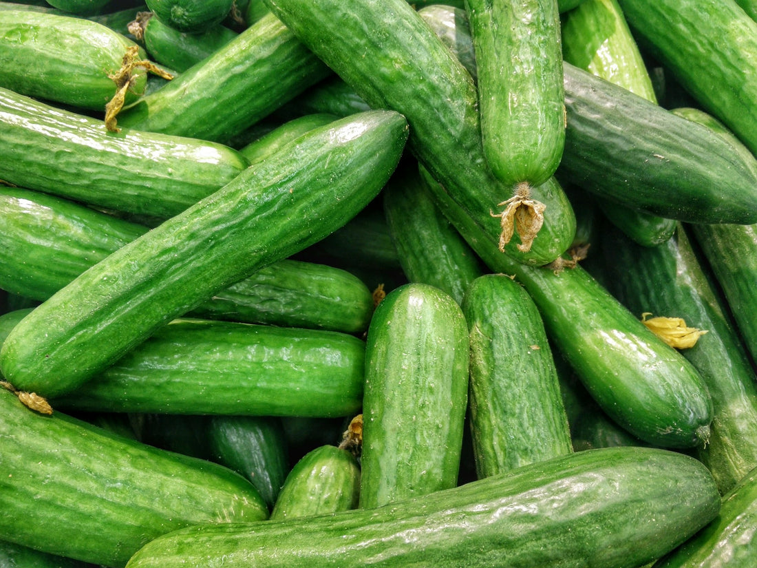 Lots of cucumbers overlapping each other filling the image