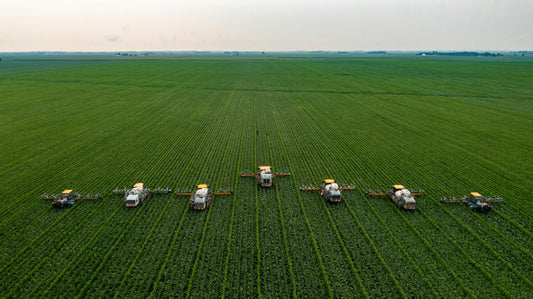 The Urea Panic Buy