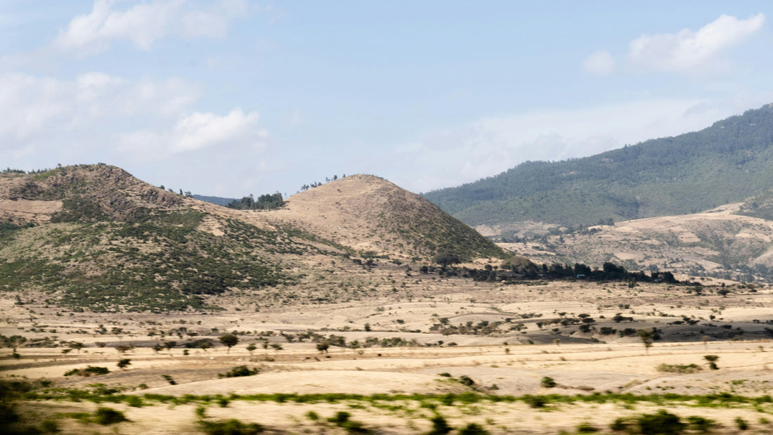 Australia & Louisiana: The Next Ethiopia?
