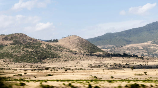 Australia & Louisiana: The Next Ethiopia?
