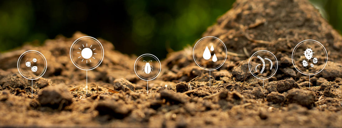 Is Your Soil Stinky When it Rains?