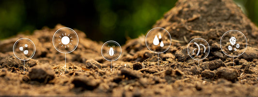 Is Your Soil Stinky When it Rains?