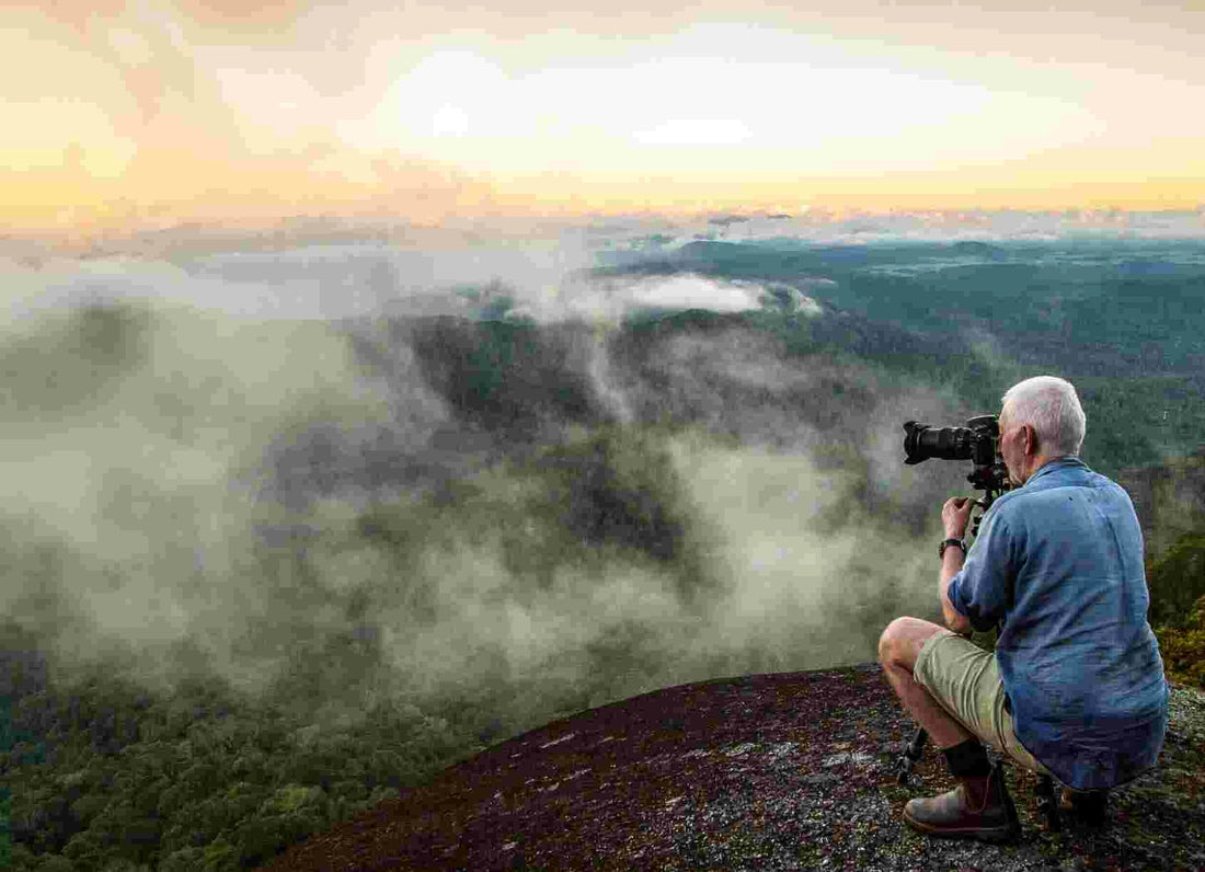 Paul Curtis: The Power of Forest Bathing