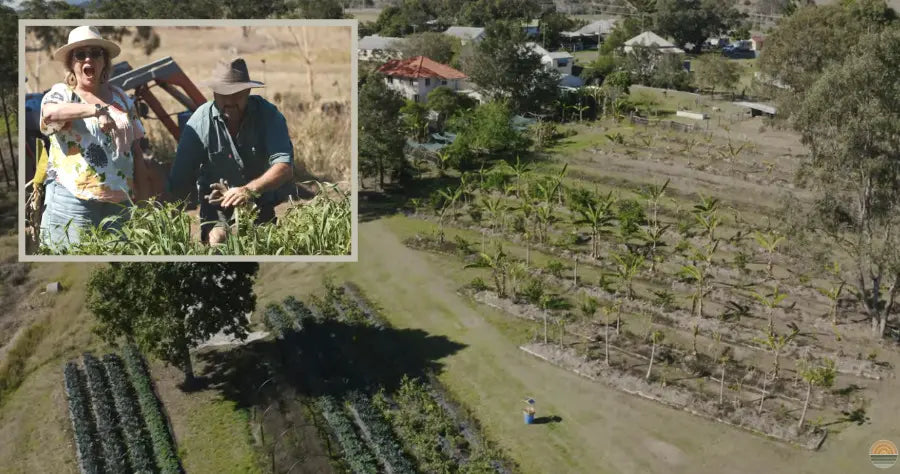 Figtree Organic Farm – Syntropic Farming Documentary