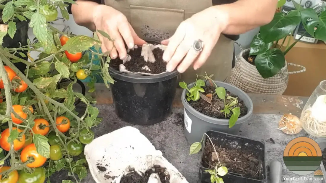 Pots with egg cartons