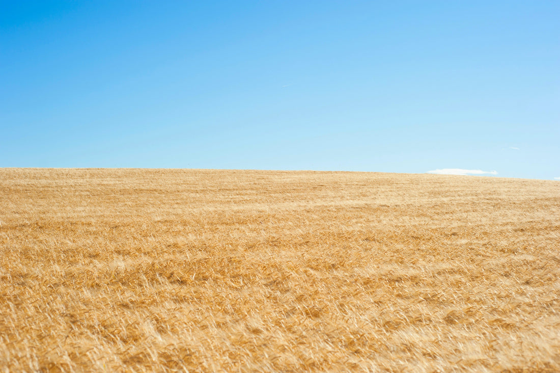 Dry Country Exposes Biology