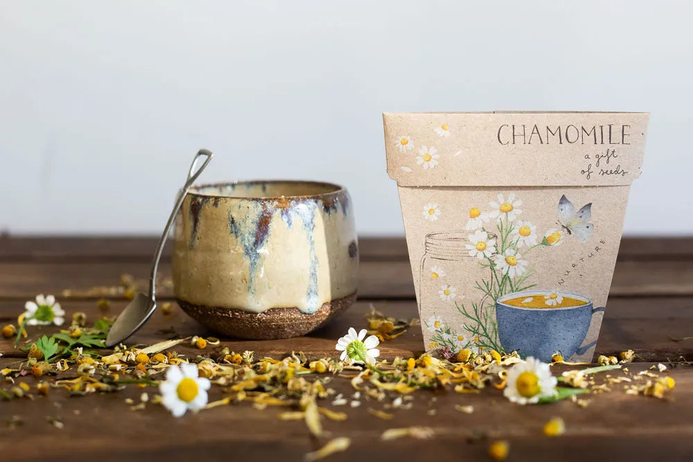 Chamomile Gift of Seeds
