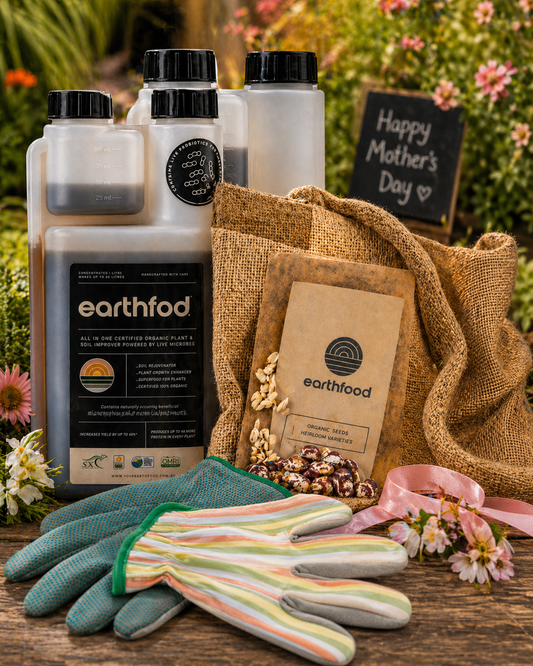 Homestead Reset Pack