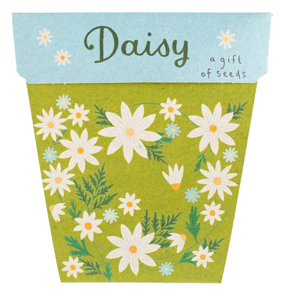 Daisy Gift of Seeds