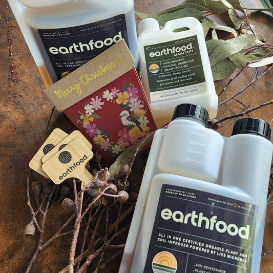 EARTHFOOD CHRISTMAS BUNDLE